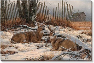 鹿 Painting - 防風林のオジロジカ